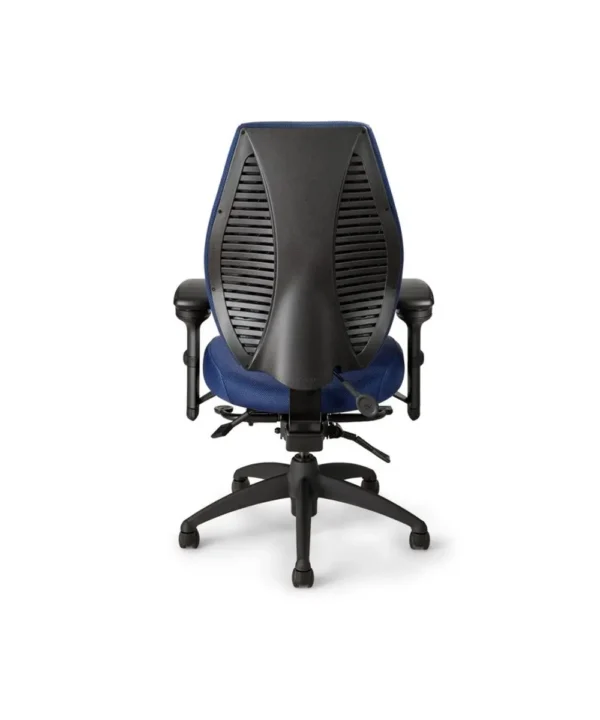 ergoCentric_airCentric2_Back_Mi'kmaq_Office_Furniture